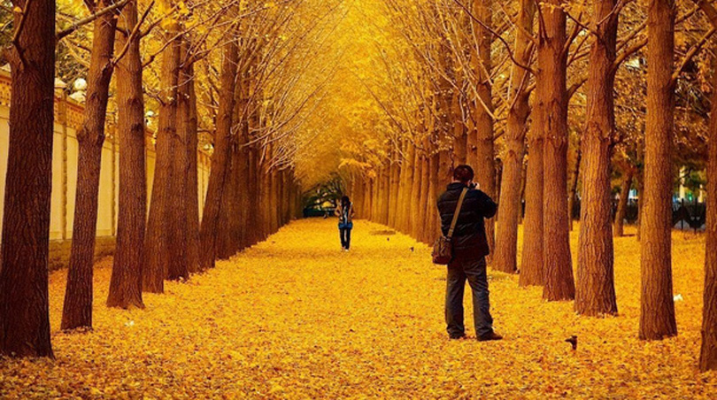 长兴赏秋景休闲二日游